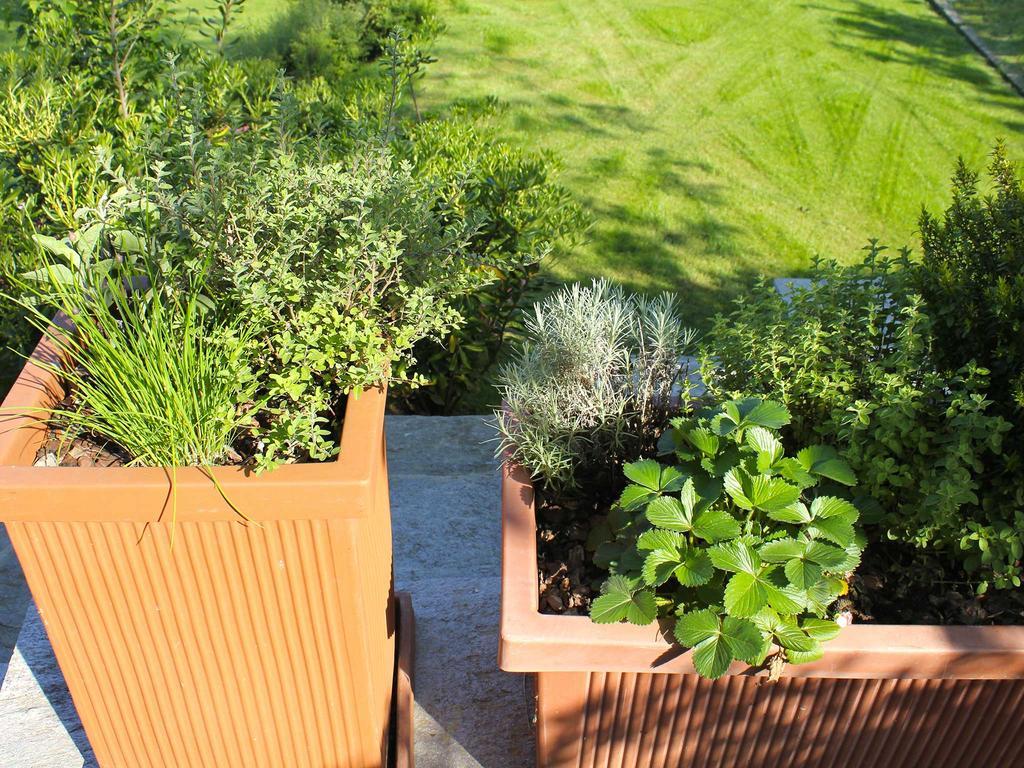 Apartment Villa Rubino Apartment Con Giardino E Jacuzzi Vista Lago Stresa